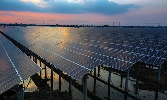 【圍觀】如果早點(diǎn)了解漁光互補(bǔ) 3萬斤魚就不會被燙死