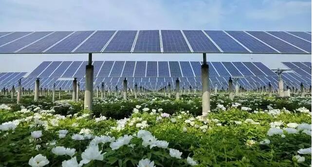 工信部等三部門“出手”約談硅料企業(yè) 光伏產業(yè)將迎新變局？